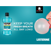 LISTERINE ® COOL MINT ANTISEPTIC MOUTH WASH 250 ML LISTERINE ® COOL MINT ANTISEPTIC MOUTH WASH 250 ML